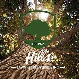 Hill's Lawn & Tree Service